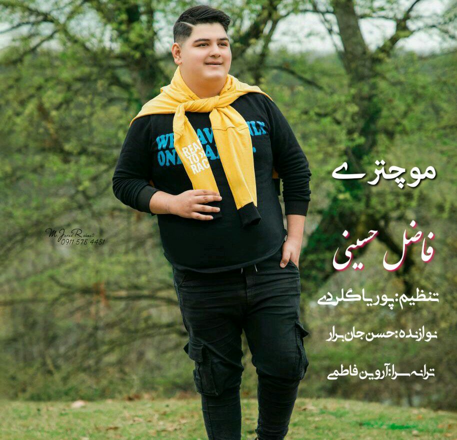 فاضل حسینی مو چتری